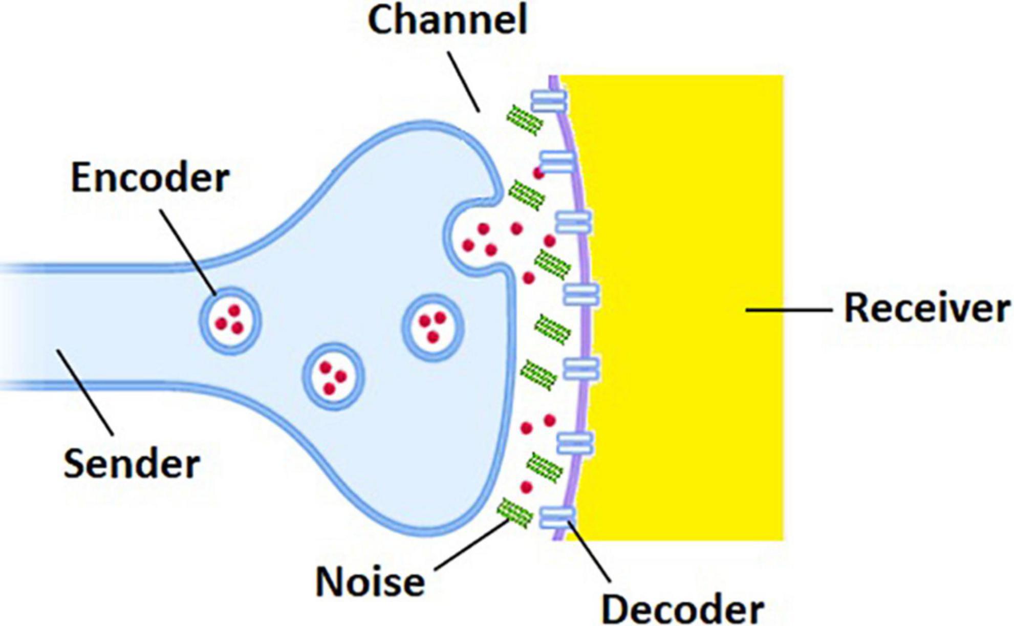 Alzheimer’s disease as a fundamental disease of information processing systems: An information theory perspective